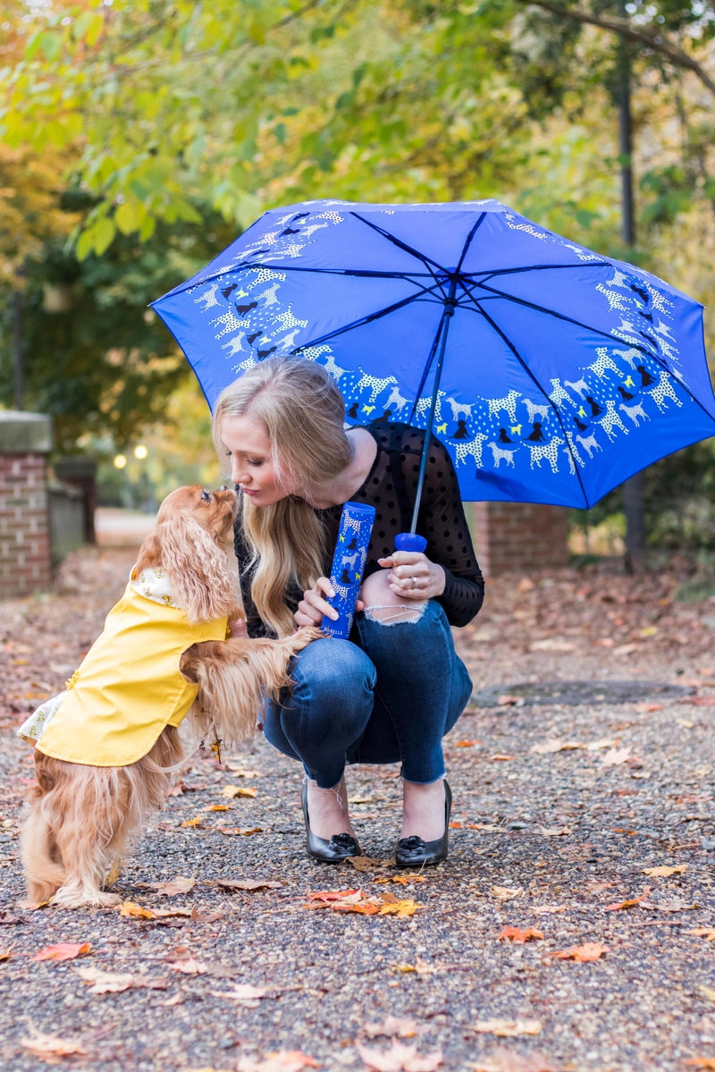 Wine Bottle Umbrella
