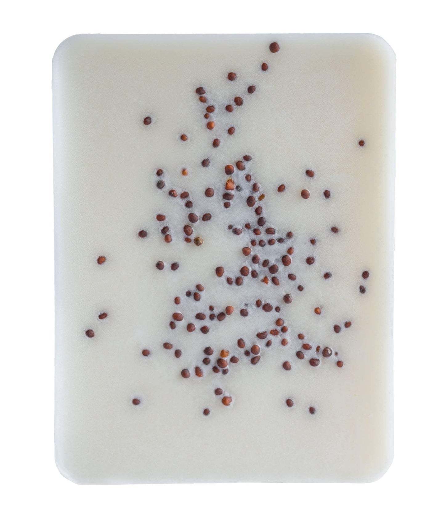 2.5 oz Artisan Wax Melt Sunkissed Cottom