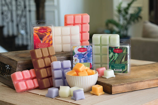 2.5 Wax Melt Passionfruit Punch - Southern Sassy Boutique