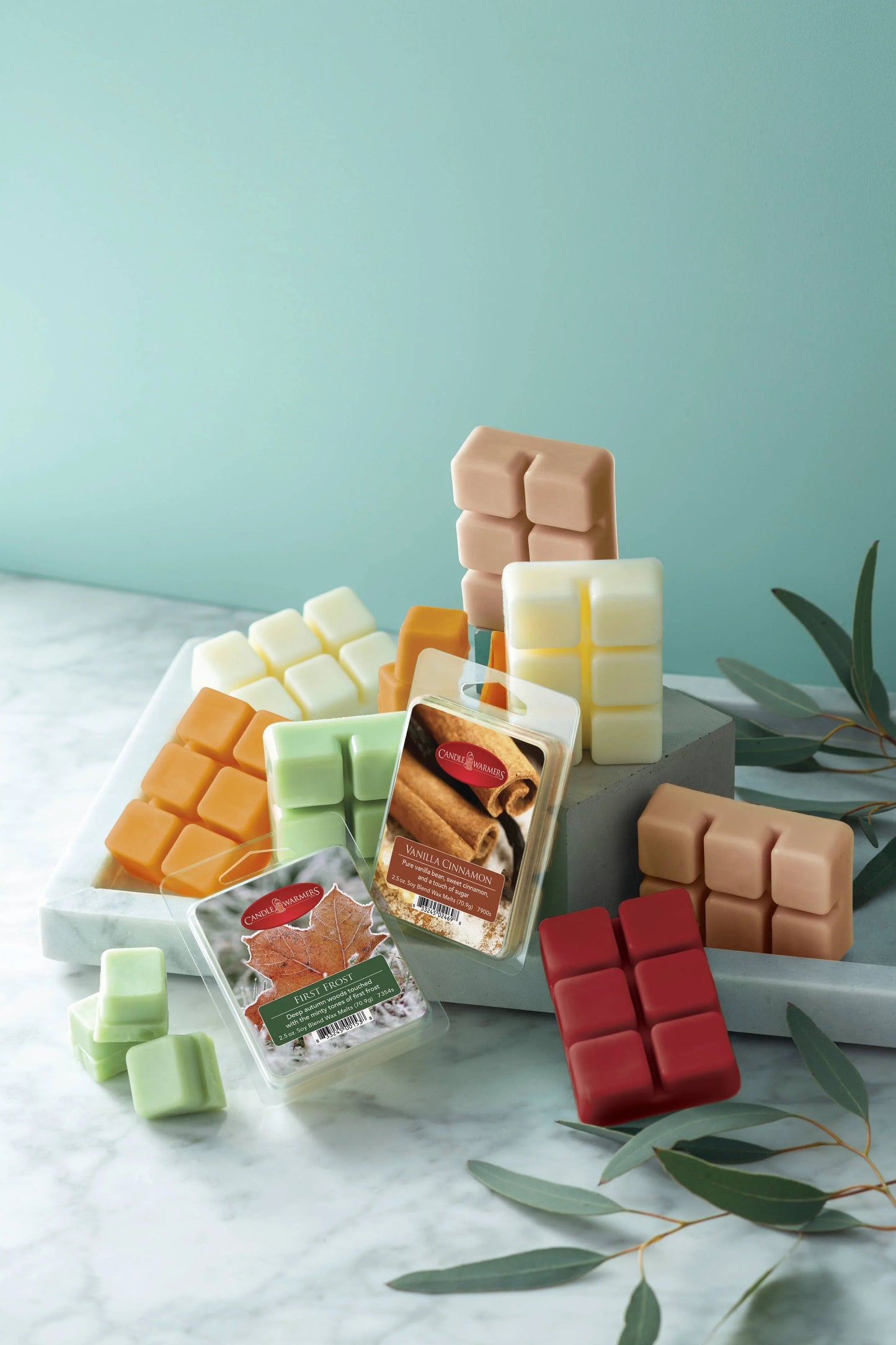 2.5 oz Wax Melt Pumpkin Spice - Southern Sassy Boutique