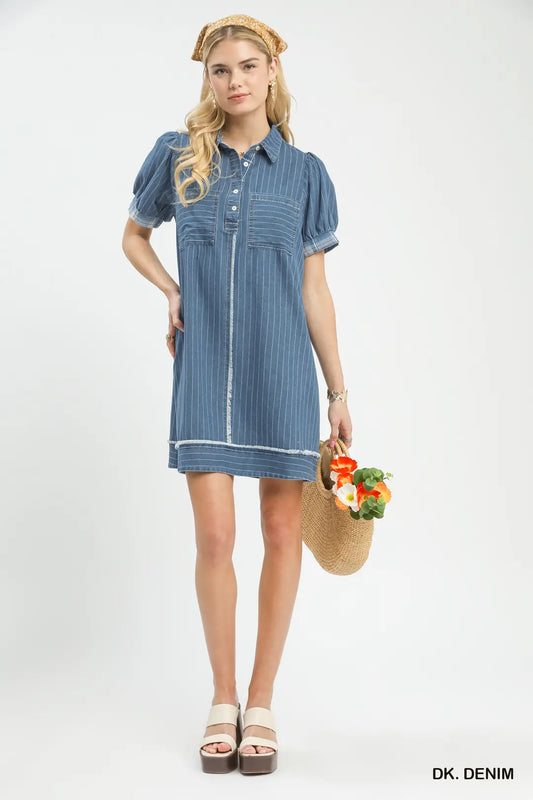 Denim Stripe Polo Dress