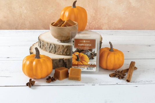 2.5 oz Wax Melt Pumpkin Spice - Southern Sassy Boutique
