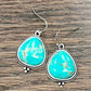 724193, Turquoise Earrings