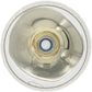 Friend - Gift Boxed 19 oz Crystal Wine Glass
