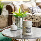 Illumination Fragrance Warmer-Classic Best Friends