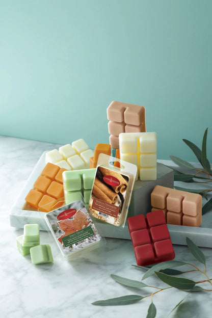 2.5 oz Wax Melt Pumpkin Spice - Southern Sassy Boutique