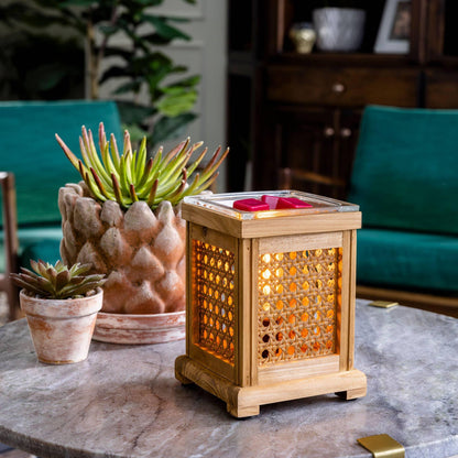 Vintage Bulb illumination Fragrance Warmer-Wood & Cane - Southern Sassy Boutique