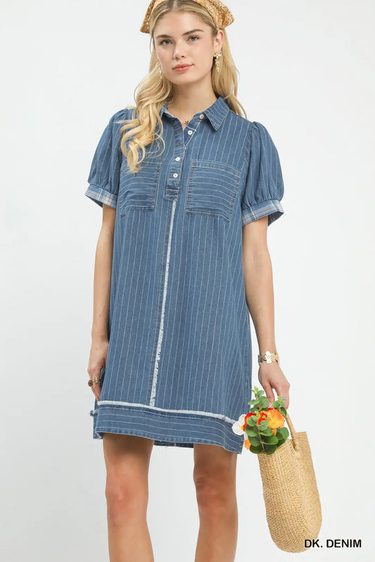 Denim Stripe Polo Dress