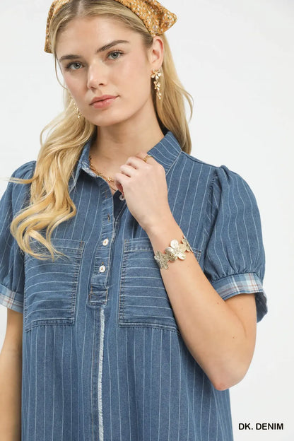 Denim Stripe Polo Dress