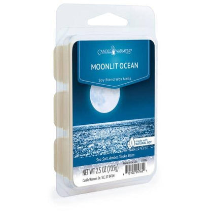 2.5 oz Wax Melt Moonlit Ocean - Southern Sassy Boutique