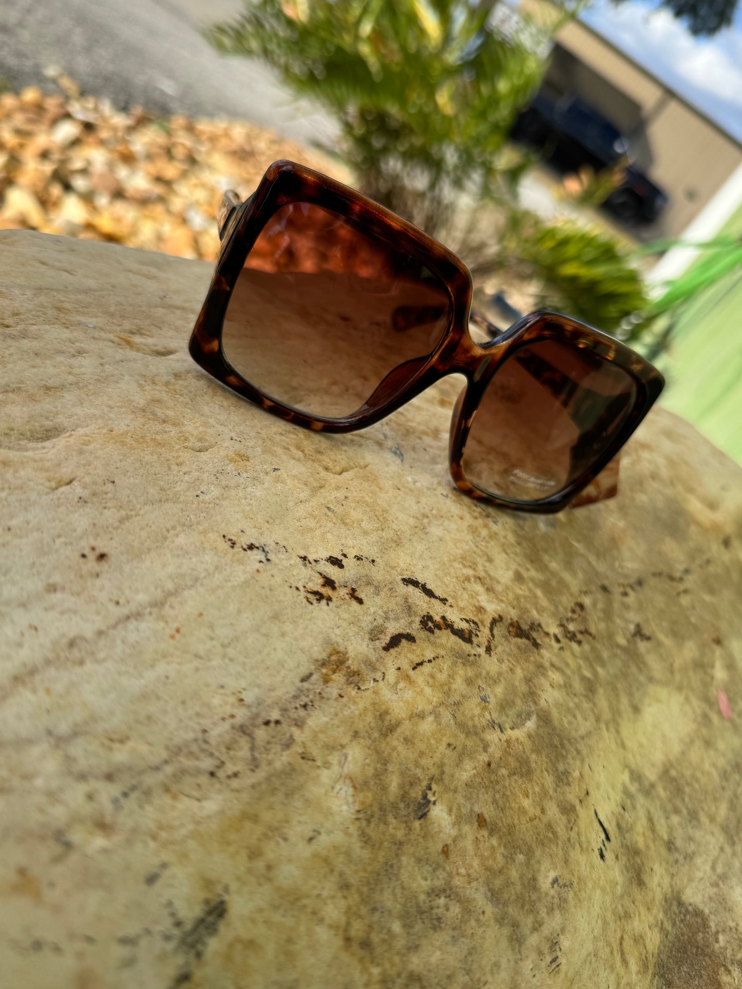 Thick Acetate Frame Square Sunglasses Set