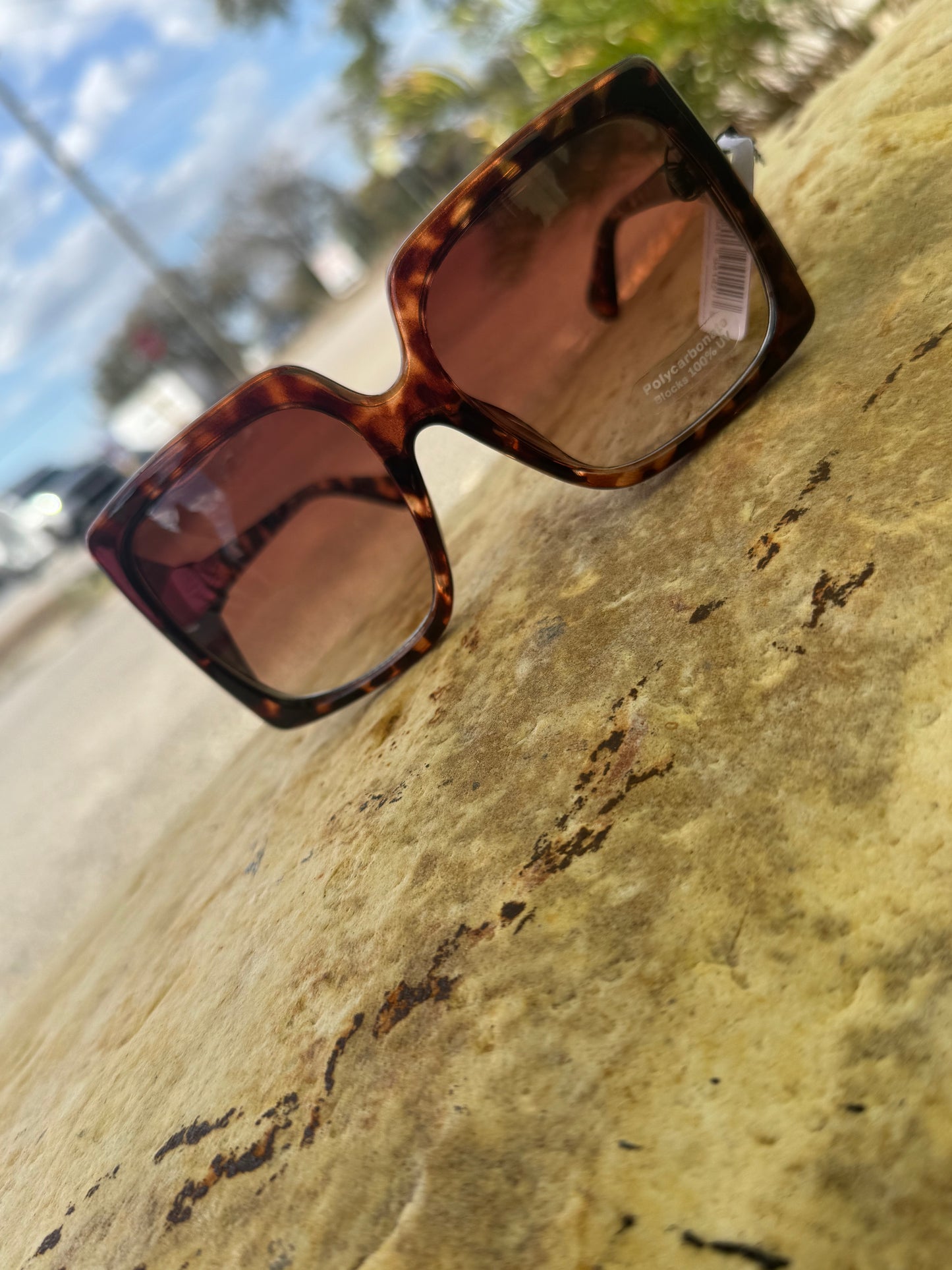 Thick Acetate Frame Square Sunglasses Set