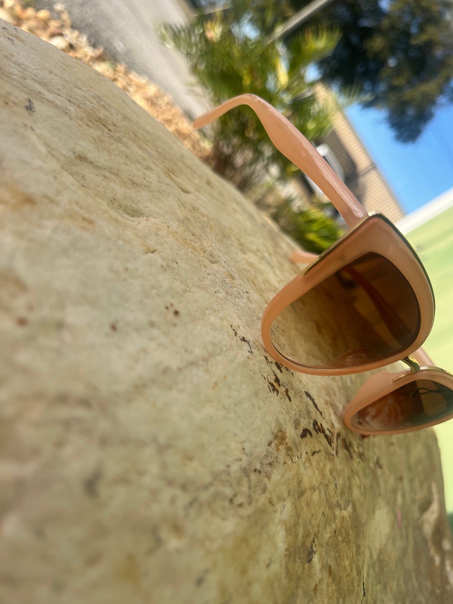 Metallic Accent Cat Eye Sunglasses Set