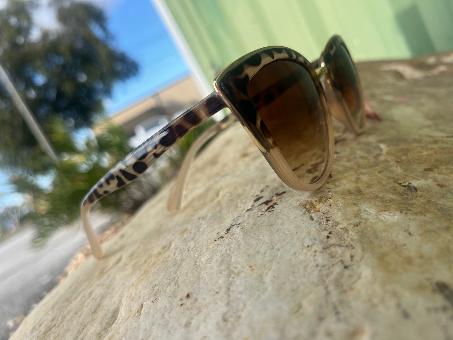 Metallic Accent Cat Eye Sunglasses Set