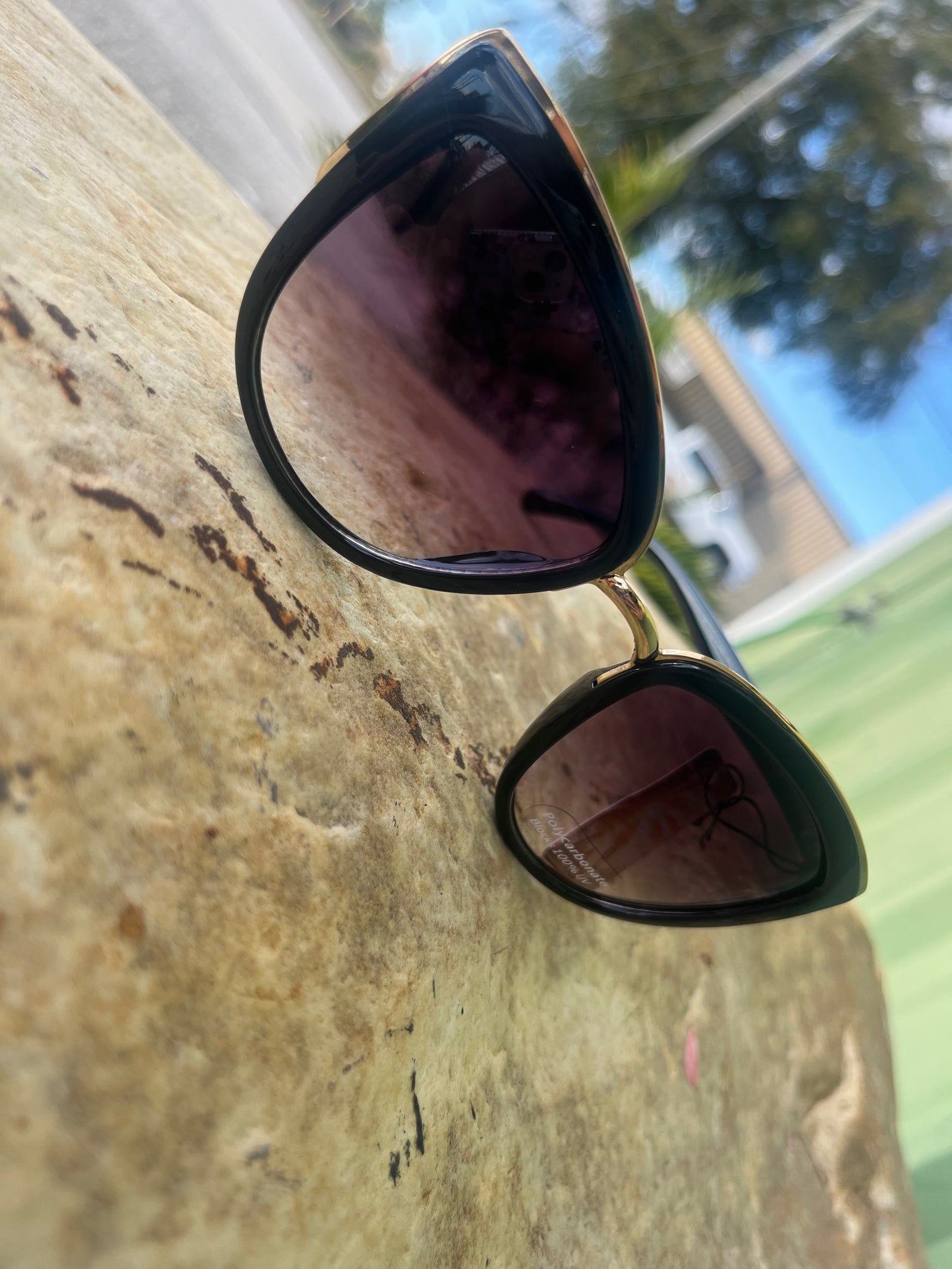 Metallic Accent Cat Eye Sunglasses Set