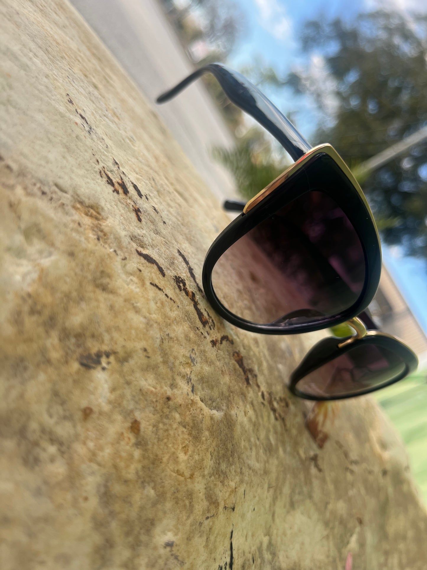 Metallic Accent Cat Eye Sunglasses Set