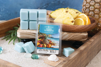 2.5 oz Wax Melt Escape To Paradise - Southern Sassy Boutique