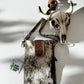 HAYDEE PHONE CROSSBODY mobile Western Tooled Leather Cowhide