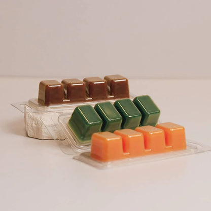 Snowman Plug-In Wax Warmer Gift Set - Southern Sassy Boutique