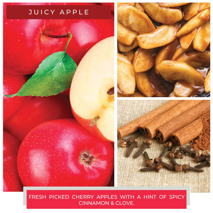 Room Spray (7oz.) – Juicy Apple - Southern Sassy Boutique