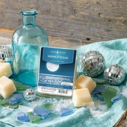 2.5 oz Wax Melt Moonlit Ocean - Southern Sassy Boutique