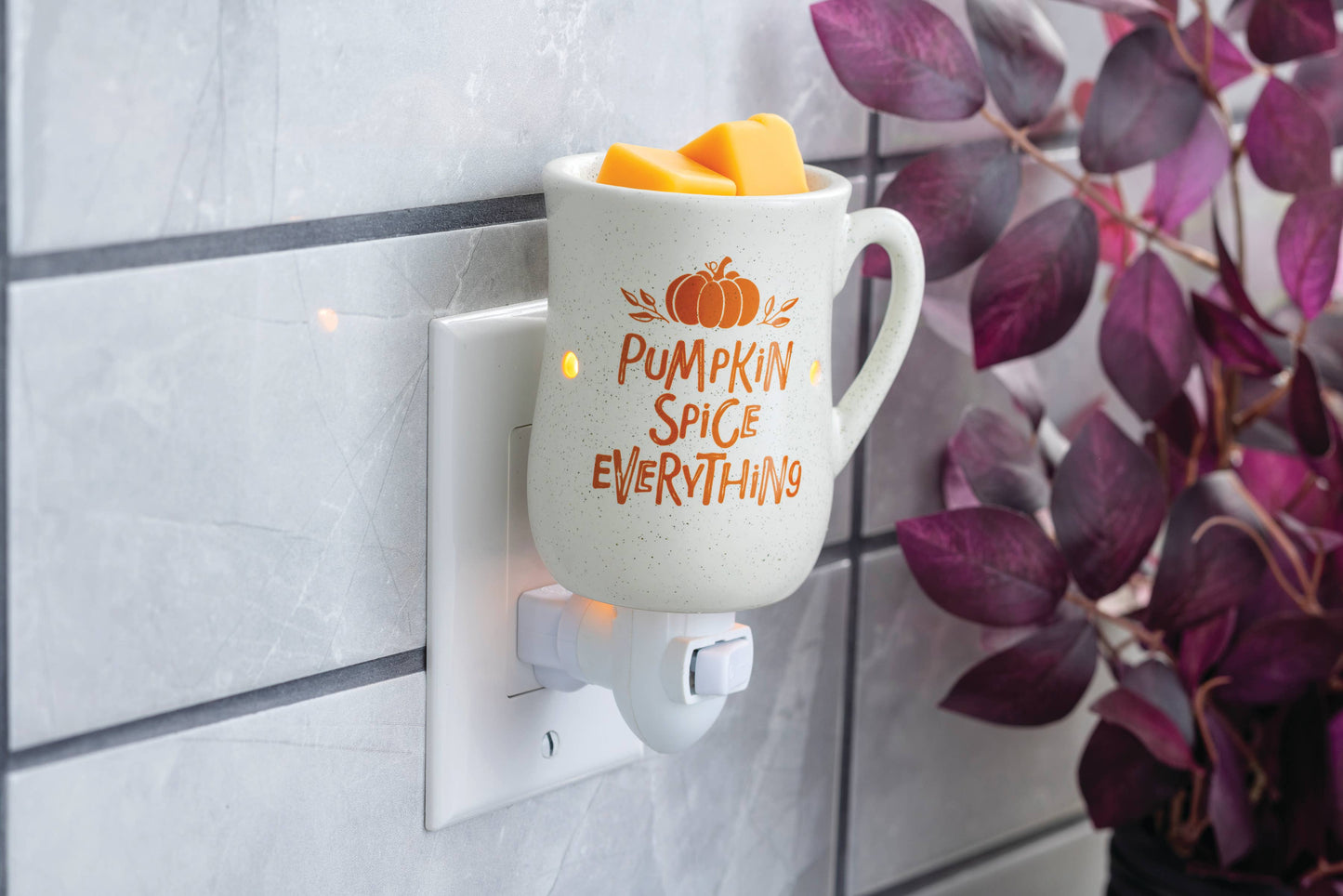 Pumpkin Spice Pluggable Fragrance Warmer